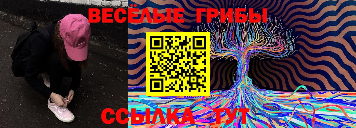 Псилоцибиновые грибы Psilocybine cubensis  Вход с VPN  Красногорск 